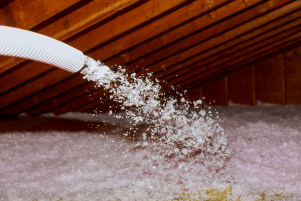 Best Commercial Insulation in Wakarusa, IN